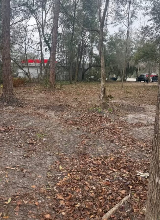 After — the same patch of woods down to bare ground and leaf litter.