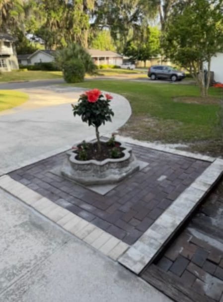After — the same island with the pavers reset and a red hibiscus in the planter.