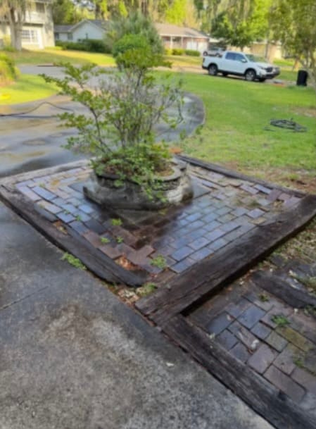 Before — a brick paver island in a driveway, weeds coming up through the joints and a leggy shrub in the stone planter.