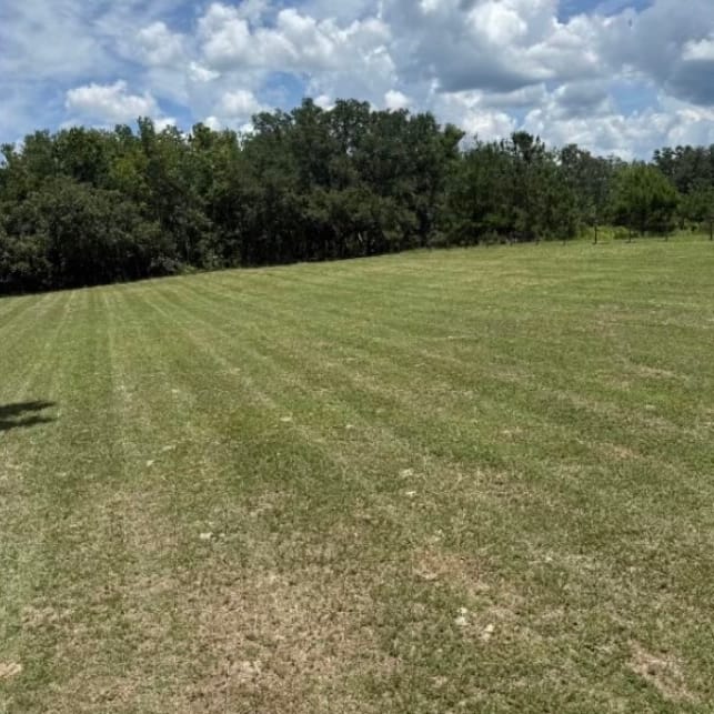 After — the same field cut, with mower stripes running back toward the trees.