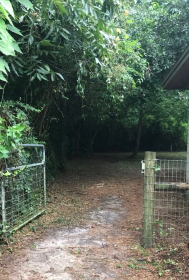 After — the same gate clear, the low limbs cut back and the track behind it open.