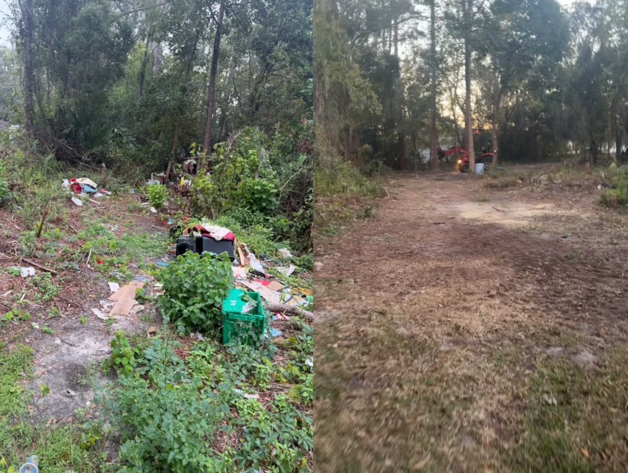Brush Clearing and Property Cleanup